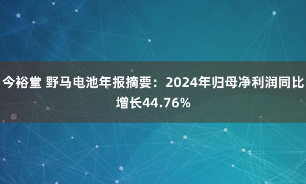 今裕堂 野马电池年报摘要：2024年归母净利润同比增长44.76%