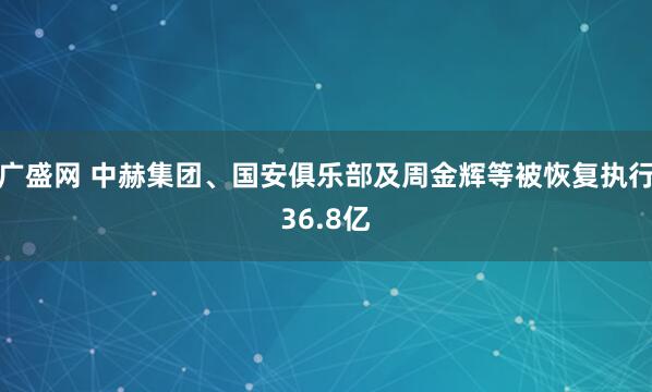 广盛网 中赫集团、国安俱乐部及周金辉等被恢复执行36.8亿