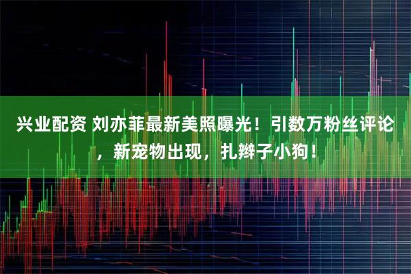 兴业配资 刘亦菲最新美照曝光！引数万粉丝评论，新宠物出现，扎辫子小狗！