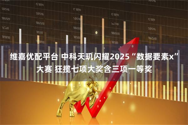 维嘉优配平台 中科天玑闪耀2025“数据要素x”大赛 狂揽七项大奖含三项一等奖