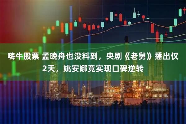 嗨牛股票 孟晚舟也没料到，央剧《老舅》播出仅2天，姚安娜竟实现口碑逆转