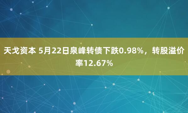 天戈资本 5月22日泉峰转债下跌0.98%，转股溢价率12.67%