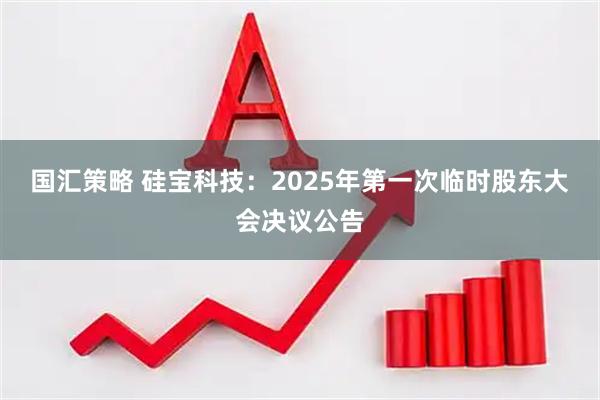 国汇策略 硅宝科技：2025年第一次临时股东大会决议公告