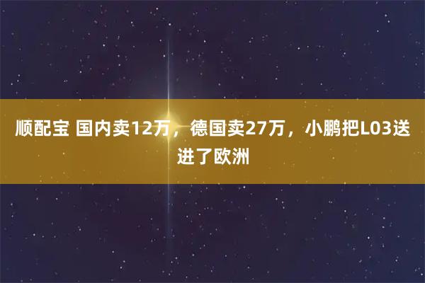 顺配宝 国内卖12万,德国卖27万,小鹏把L03送进了欧洲