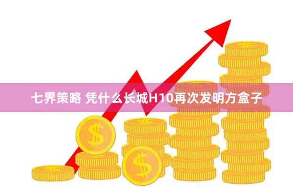 七界策略 凭什么长城H10再次发明方盒子